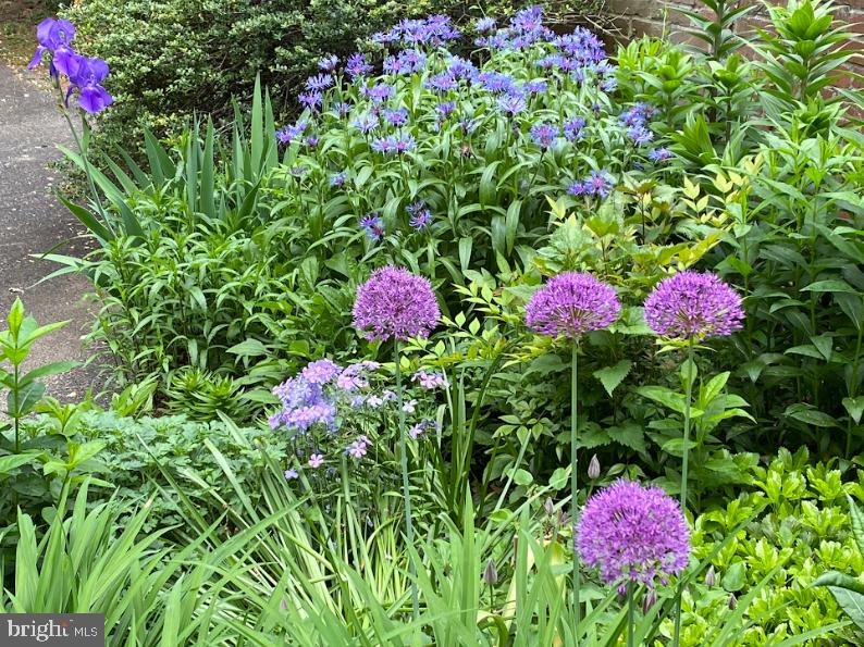 2 Locust Lane Rose Valley, PA 19086 - Photo 3 of 55