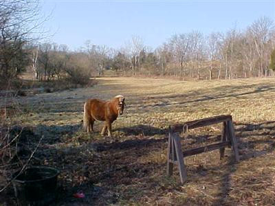 0 273 Souths Rays Fork Road Corinth, KY 41010 - Photo 7 of 7 Gallery Image 7
