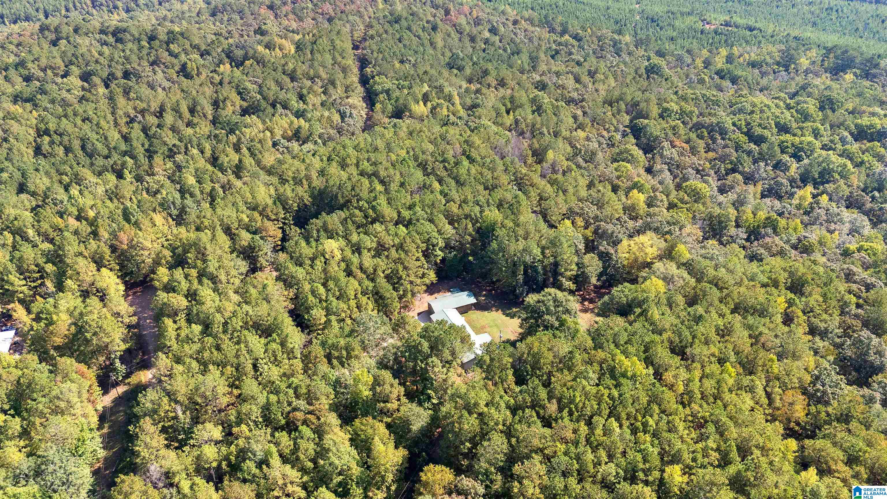 78 County Road 862 Wadley, AL 36276 - Photo 3 of 78