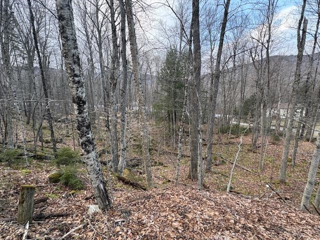 Lot 8 Barrows Towne Road Killington, VT 05751 - Photo 3 of 6
