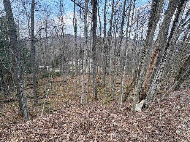 Lot 8 Barrows Towne Road Killington, VT 05751 - Photo 4 of 6