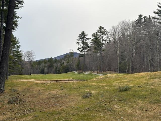 Lot 8 Barrows Towne Road Killington, VT 05751 - Photo 6 of 6