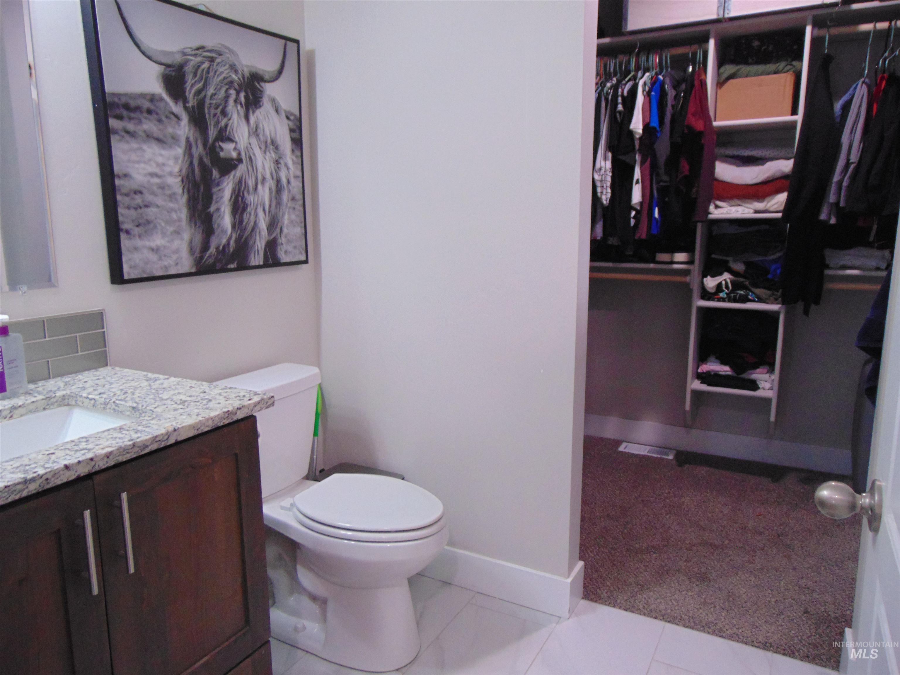 901 Campbell Street Vale, OR 97918 - Photo 11 of 22 Bathroom featuring vanity, a walk in closet, and light carpet