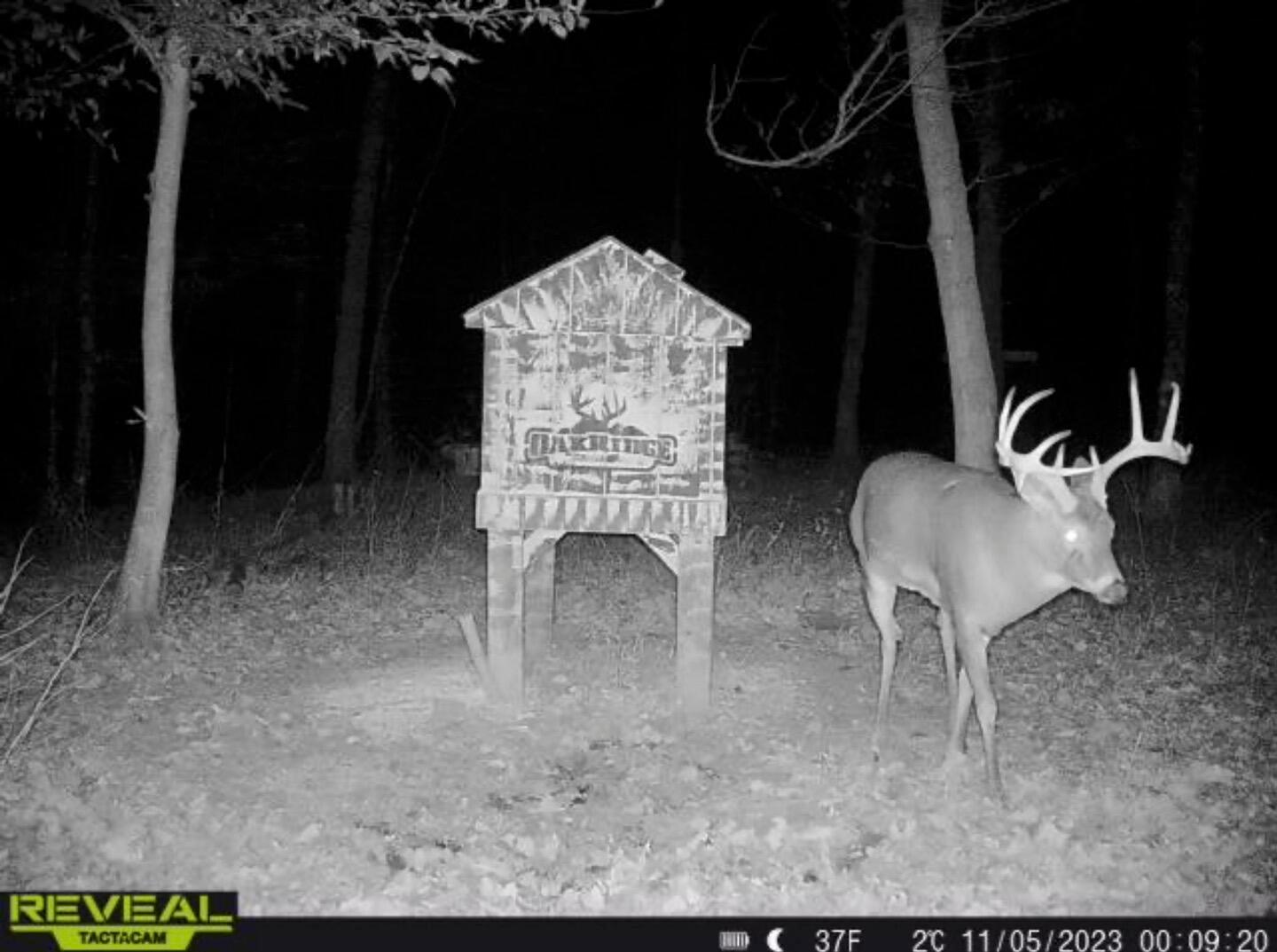 0 Virginia Ridge Road Philo, OH 43771 - Photo 29 of 29 VR 6 copy