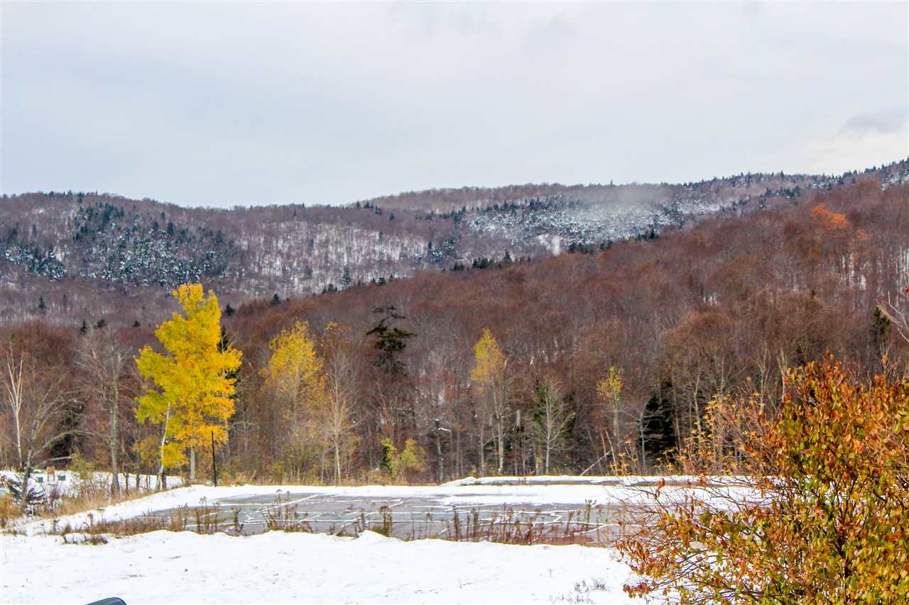 27 Nature Trail Road, Unit #102 Bolton, VT 05477 - Photo 8 of 21