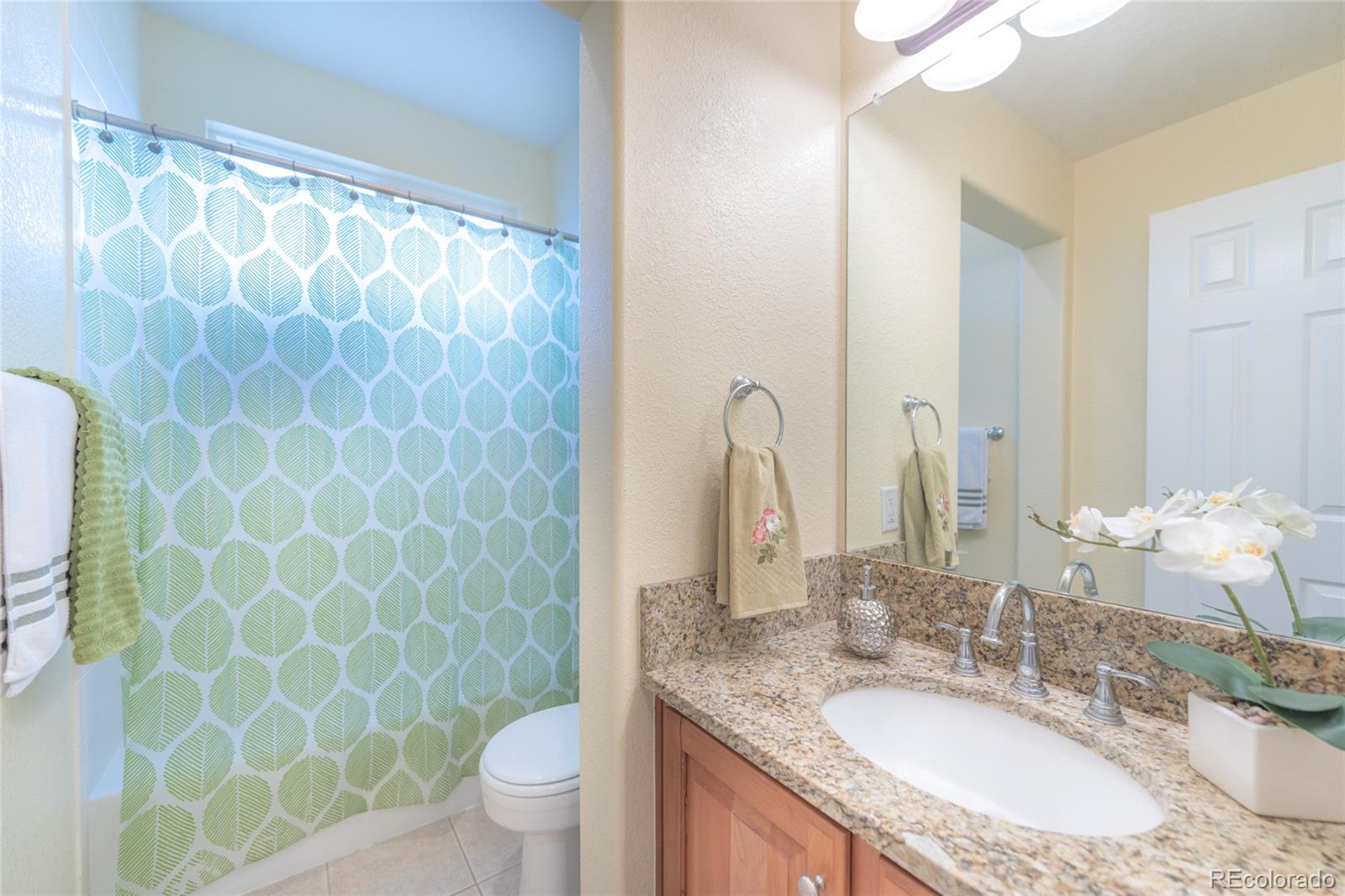 2924 Oakshire Court Highlands Ranch, CO 80126 - Photo 17 of 35
