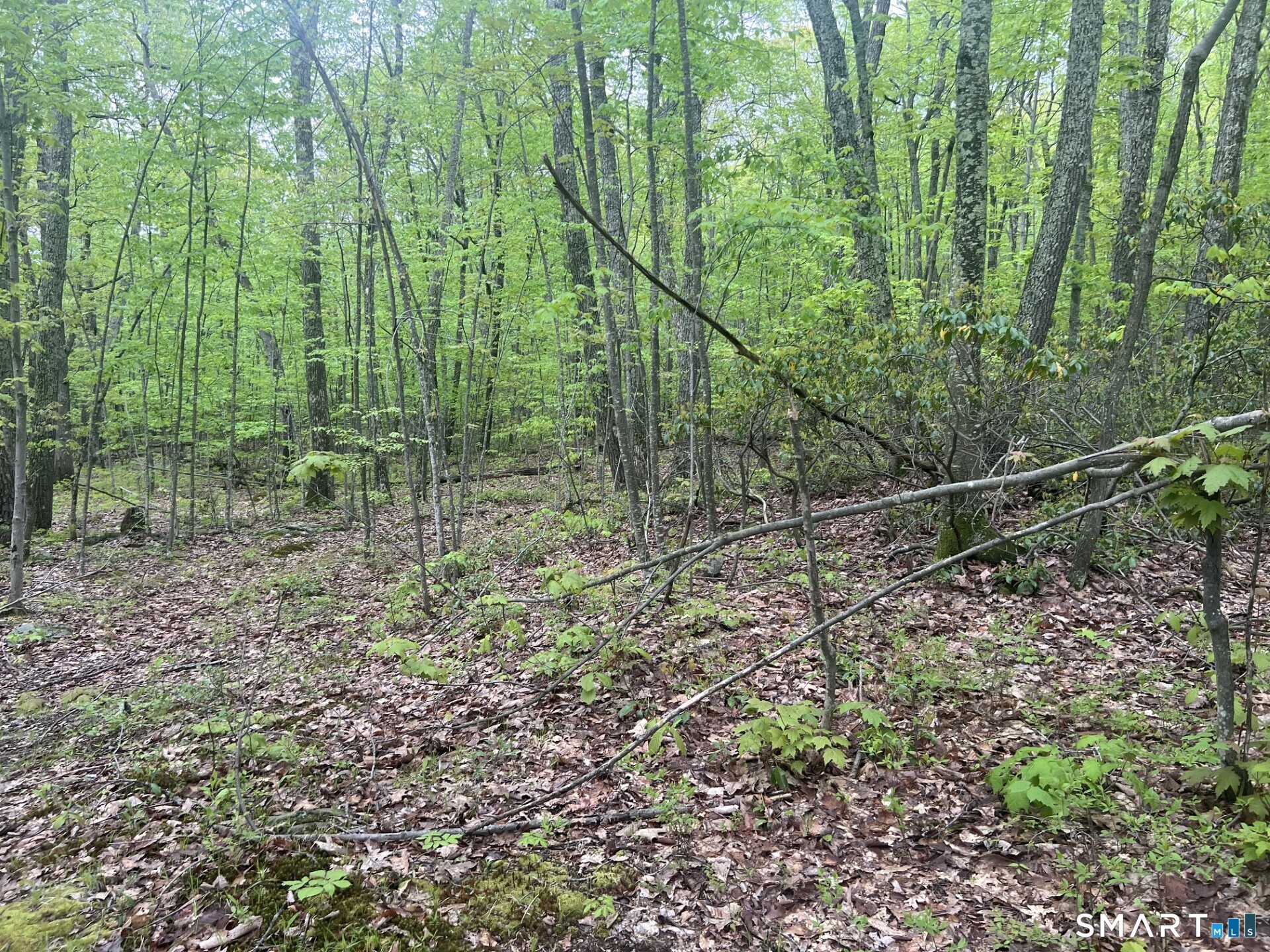 238 Old Messenger Road Granby, CT 06060 - Photo 4 of 5