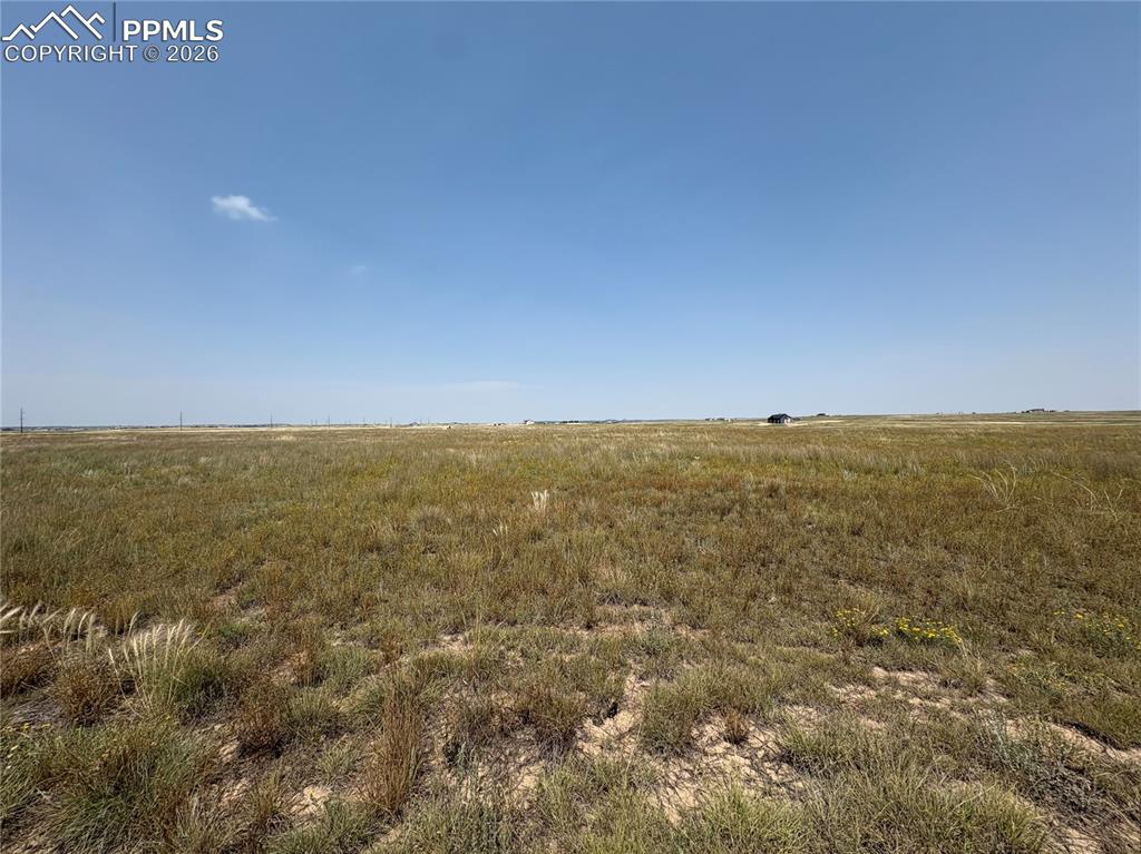 8155 Cowboy Rnch View Peyton, CO 80831 - Photo 6 of 13