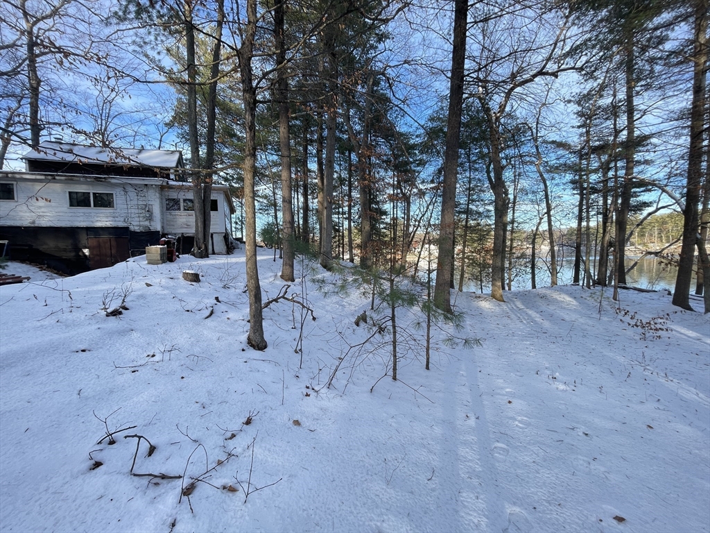 172 Shelters Road Groton, MA 01450 - Photo 12 of 40 a view of a yard with a tree