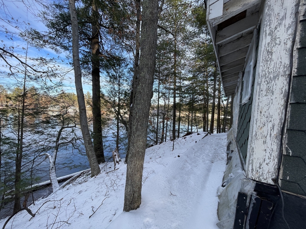 172 Shelters Road Groton, MA 01450 - Photo 26 of 40 a view of a yard with a tree