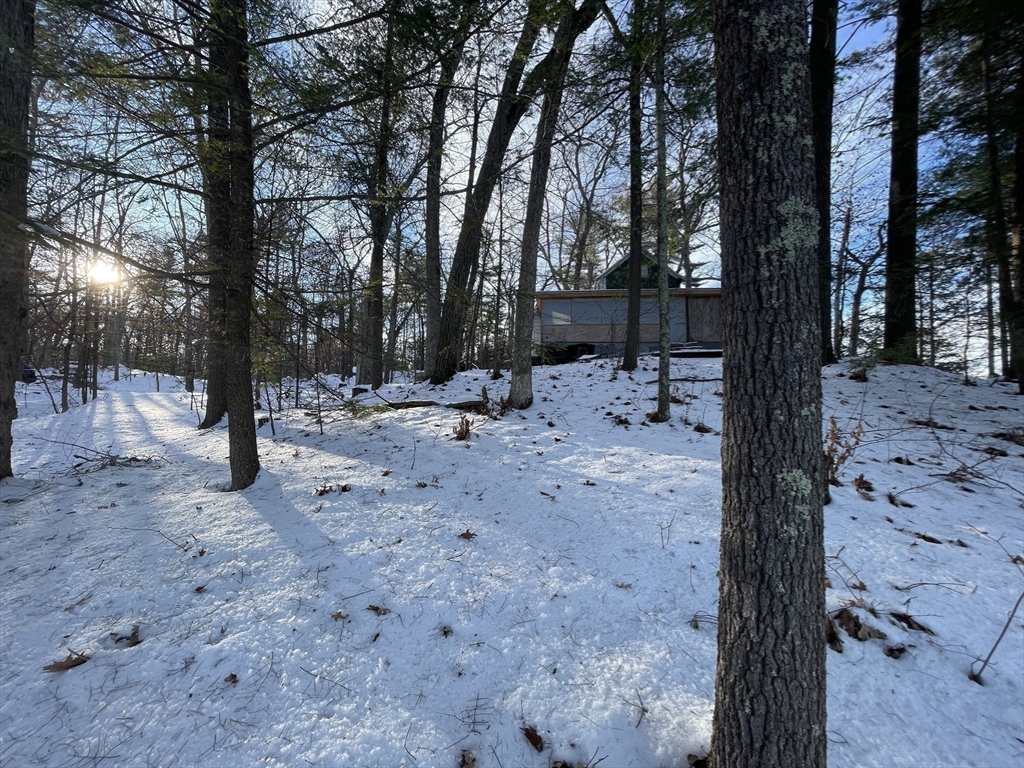 172 Shelters Road Groton, MA 01450 - Photo 27 of 40 a view of outdoor space with trees