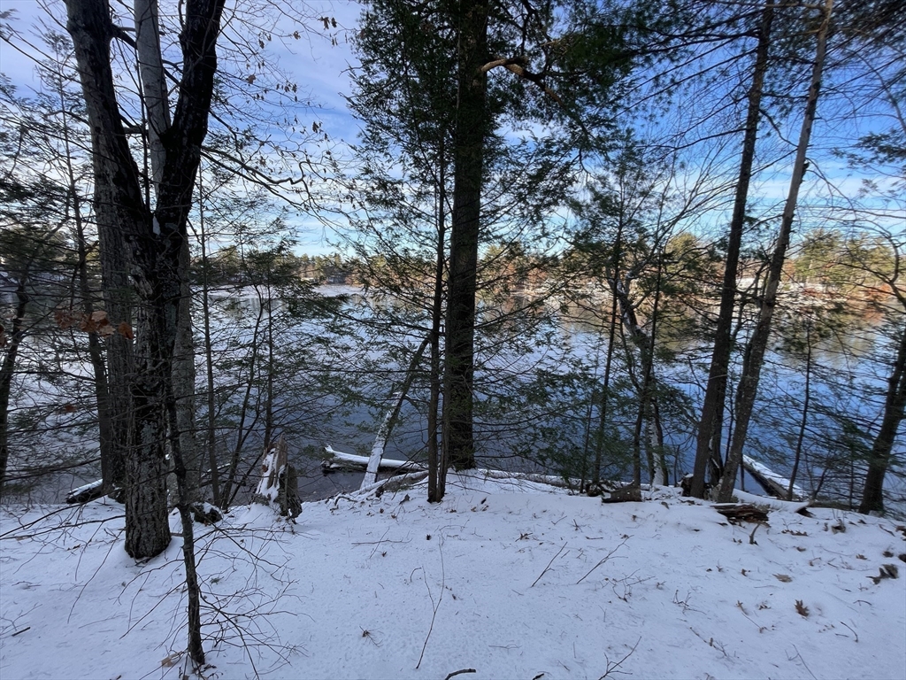 172 Shelters Road Groton, MA 01450 - Photo 34 of 40 a view of a forest with trees