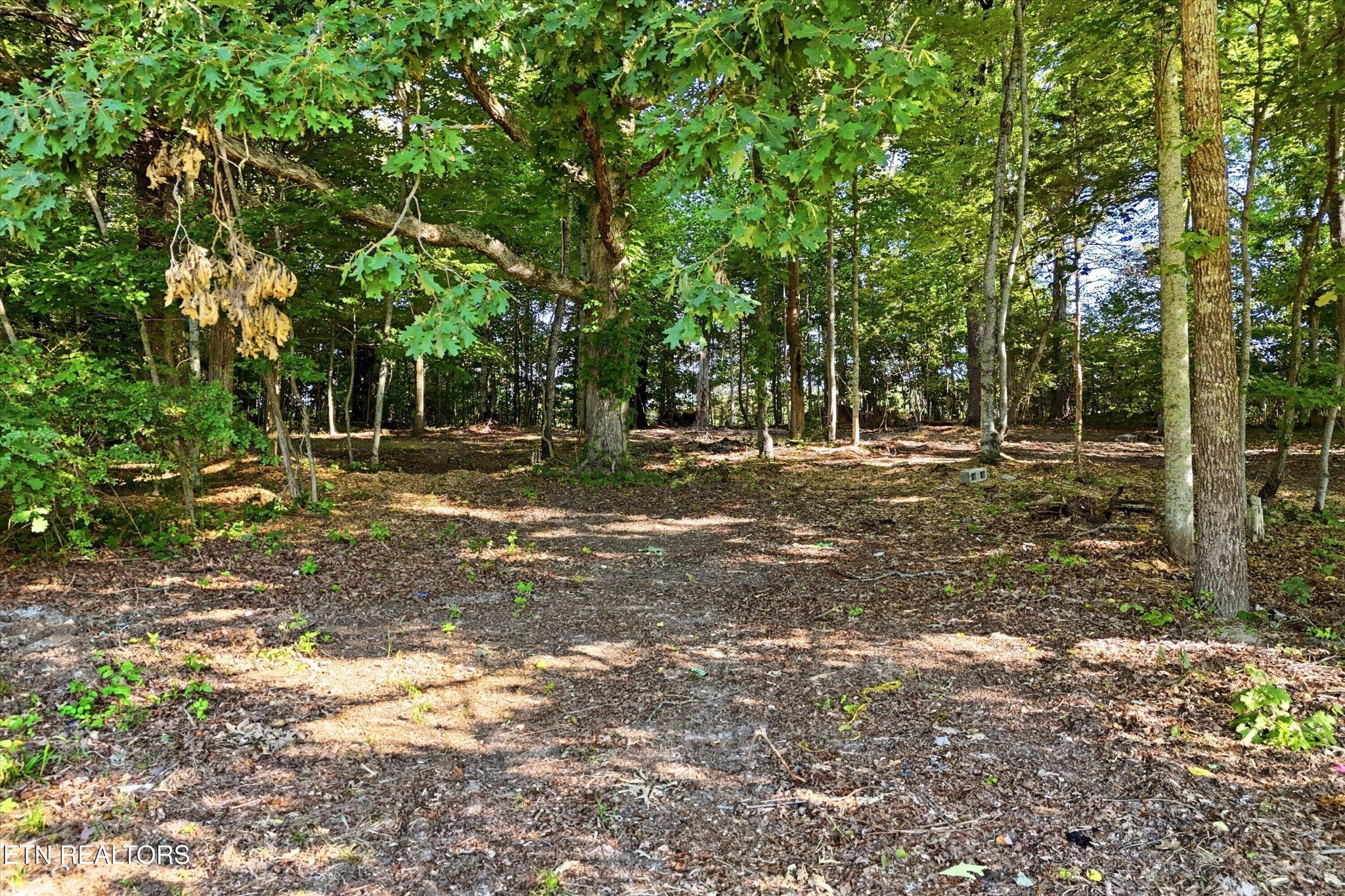 0 Daniels Road Knoxville, TN 37938 - Photo 2 of 34 a backyard of a house with lots of green space