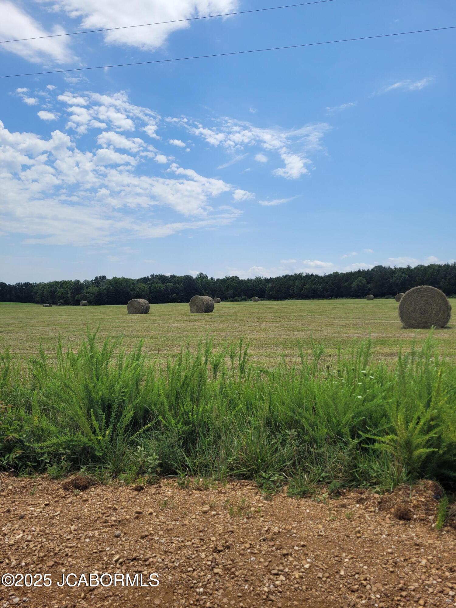 Lot 3 Co Road Flemington, MO 65650 - Photo 5 of 8