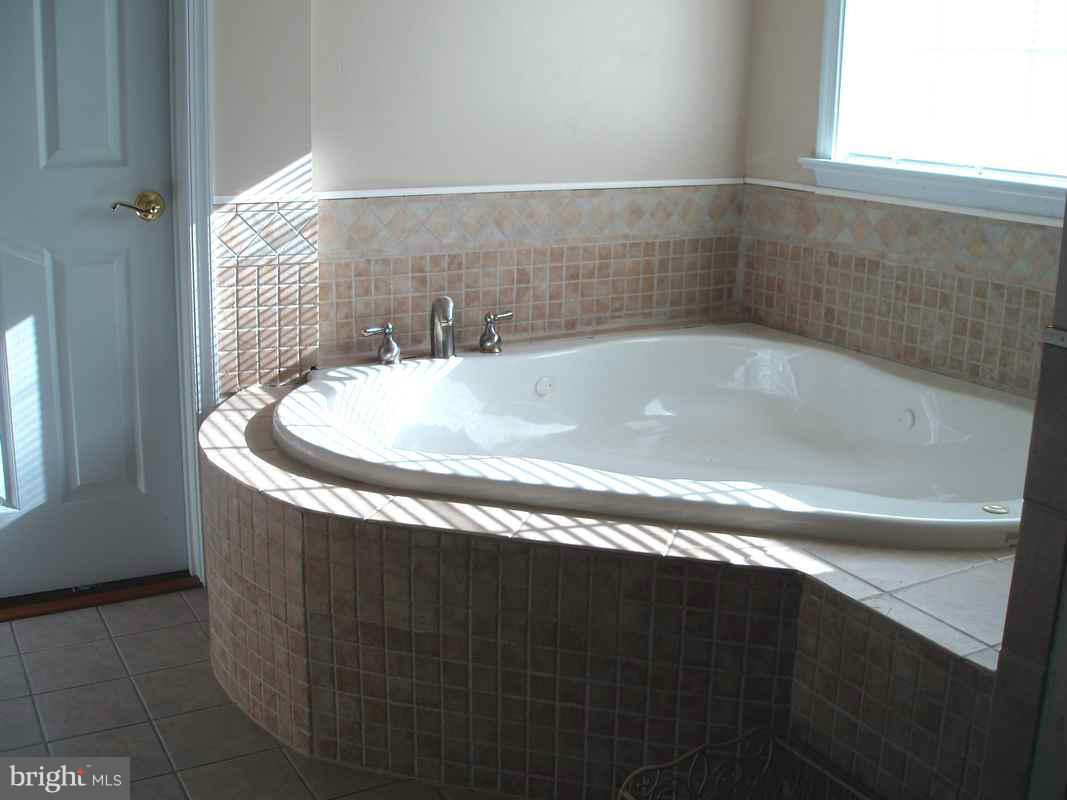 2520 Flint Hill Road Vienna, VA 22181 - Photo 4 of 12 Bath (Master)