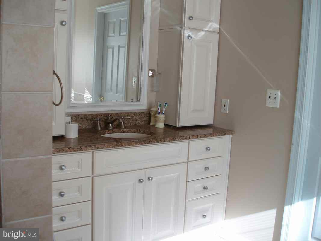 2520 Flint Hill Road Vienna, VA 22181 - Photo 5 of 12 Bath (Master)