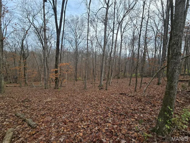 $130,000 | 499 Sunset Echo Road, Union, MO 63084