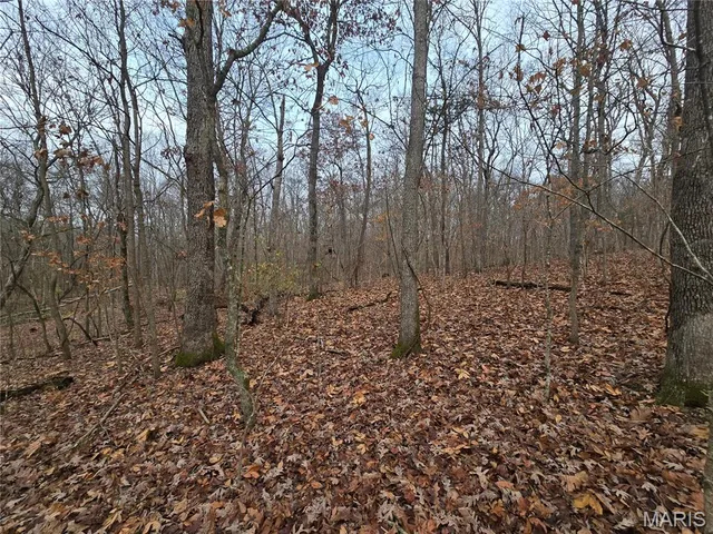 $130,000 | 499 Sunset Echo Road, Union, MO 63084