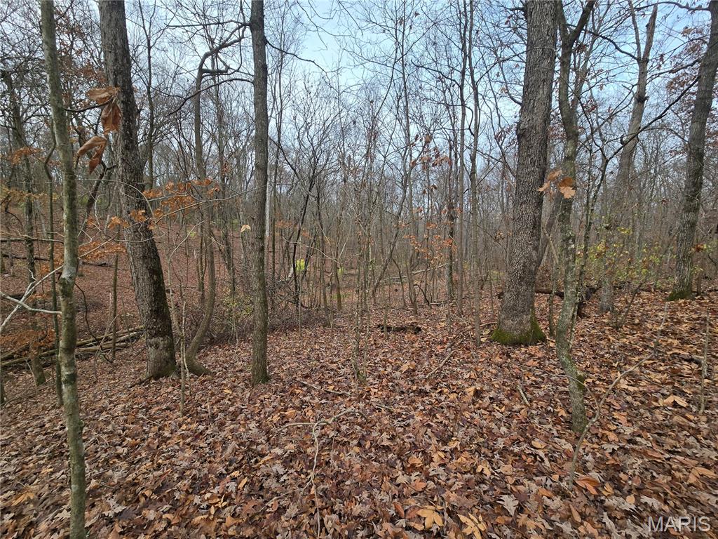 499 Sunset Echo Road Union, MO 63084 - Photo 12 of 21