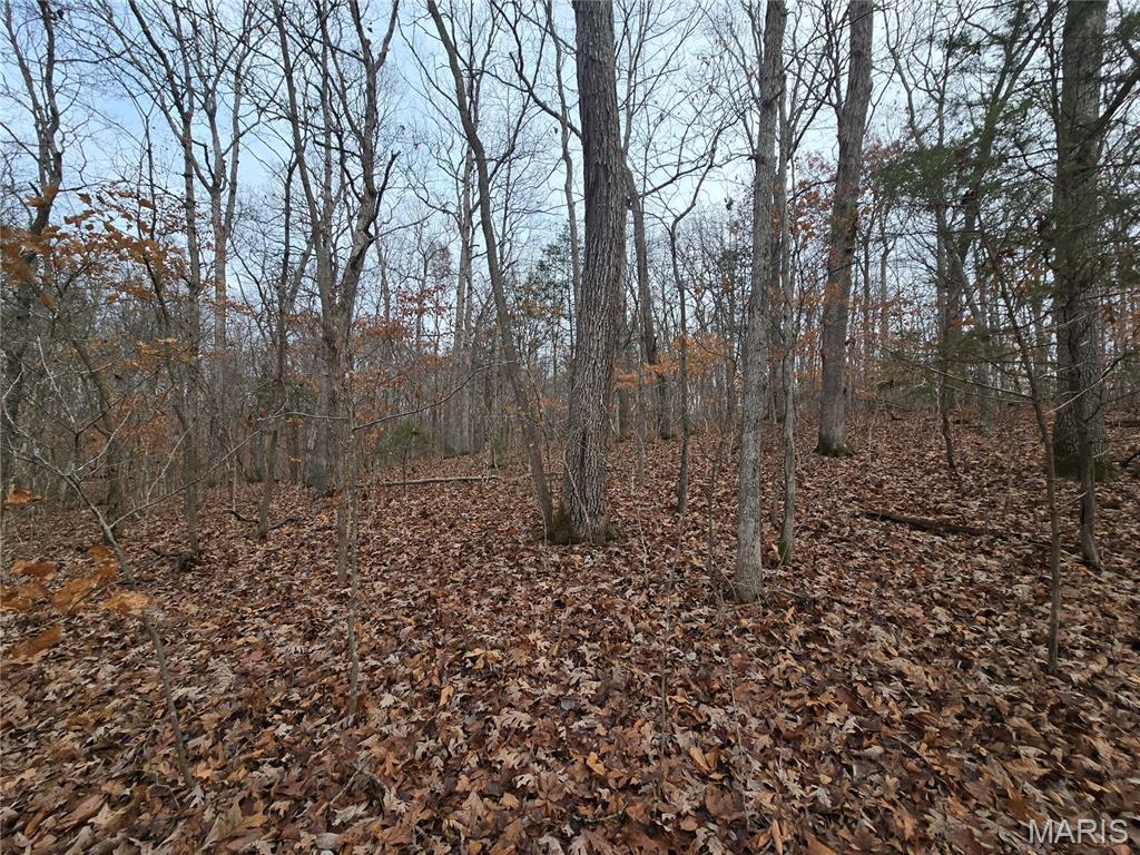 499 Sunset Echo Road Union, MO 63084 - Photo 14 of 21