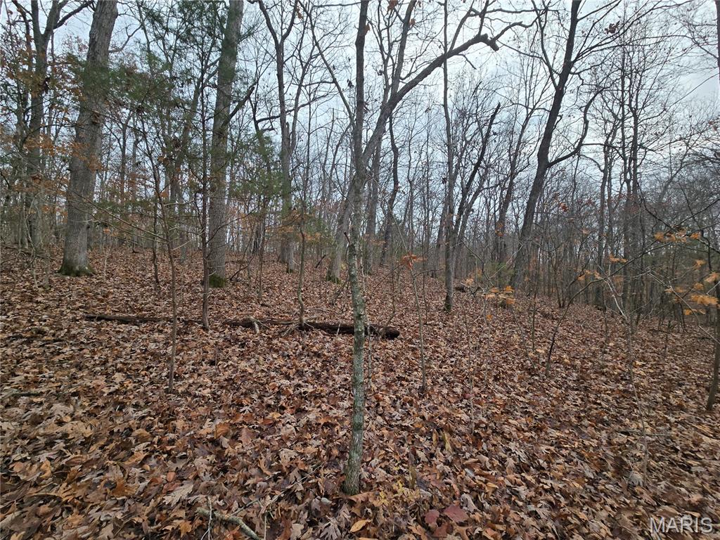 499 Sunset Echo Road Union, MO 63084 - Photo 15 of 21