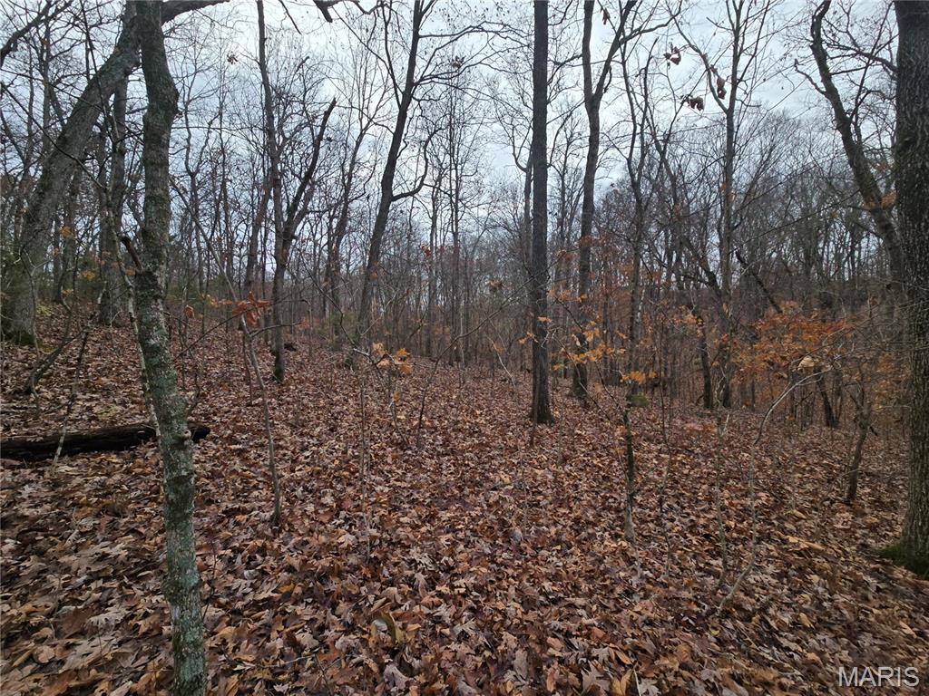 499 Sunset Echo Road Union, MO 63084 - Photo 16 of 21