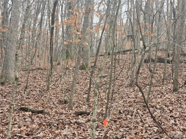 $130,000 | 499 Sunset Echo Road, Union, MO 63084