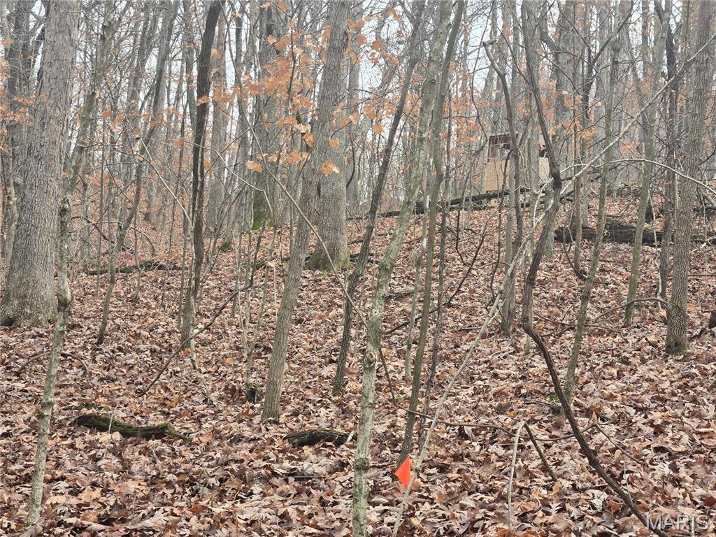 499 Sunset Echo Road Union, MO 63084 - Photo 17 of 21