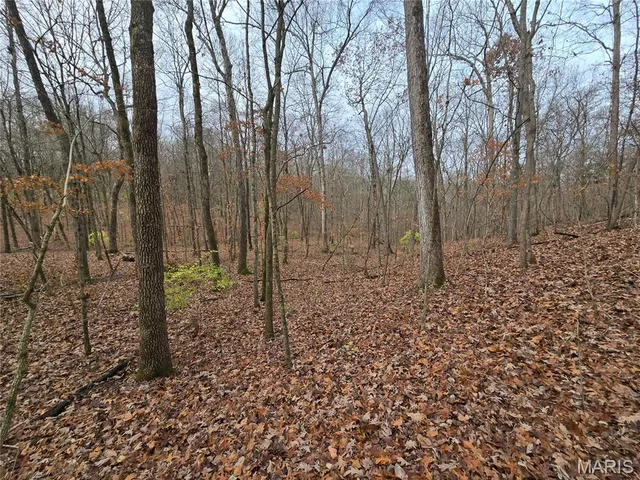 $130,000 | 499 Sunset Echo Road, Union, MO 63084