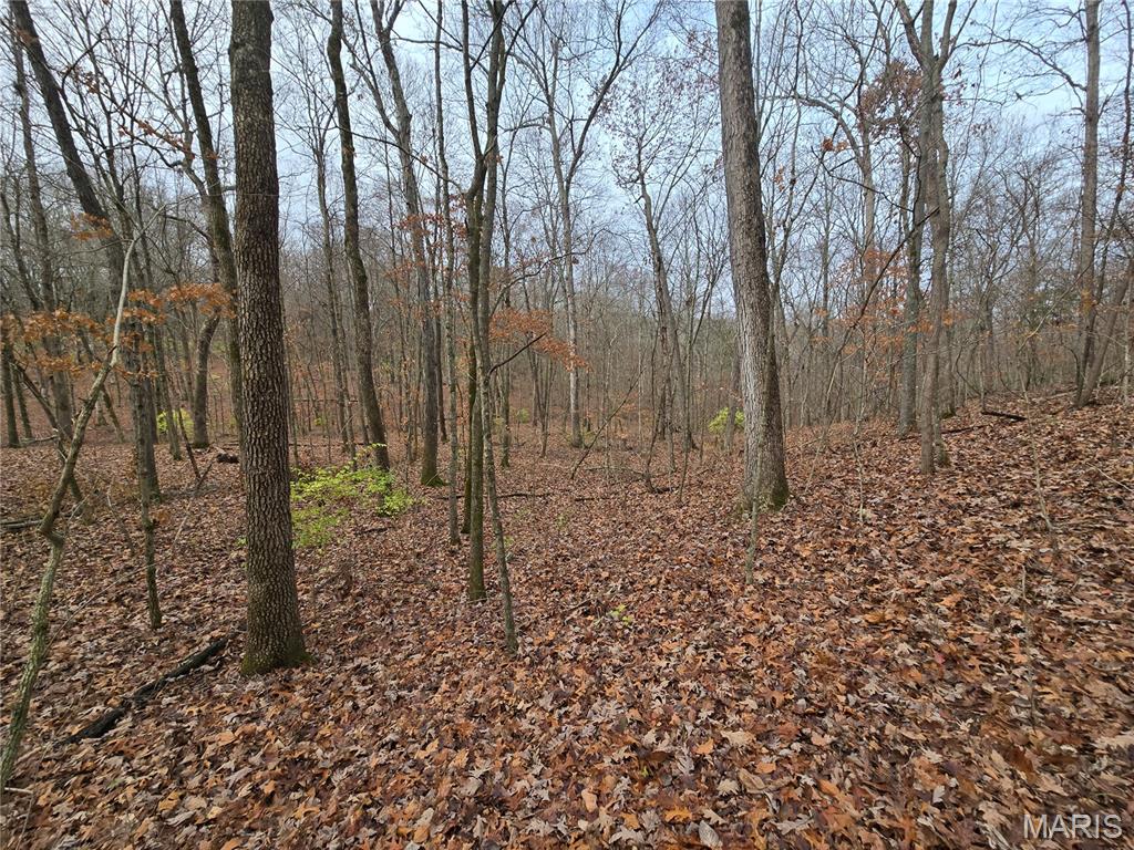 499 Sunset Echo Road Union, MO 63084 - Photo 18 of 21