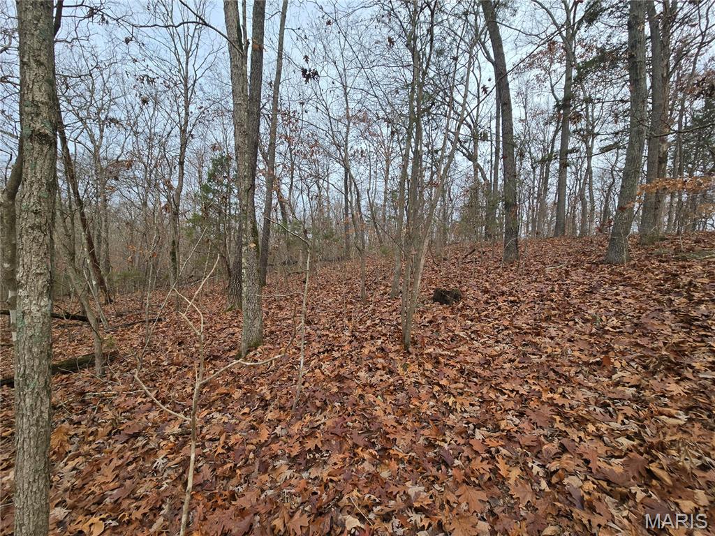 499 Sunset Echo Road Union, MO 63084 - Photo 19 of 21