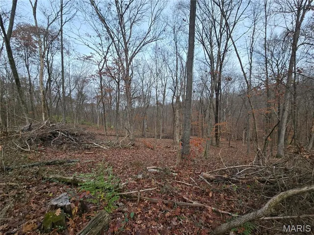 $130,000 | 499 Sunset Echo Road, Union, MO 63084