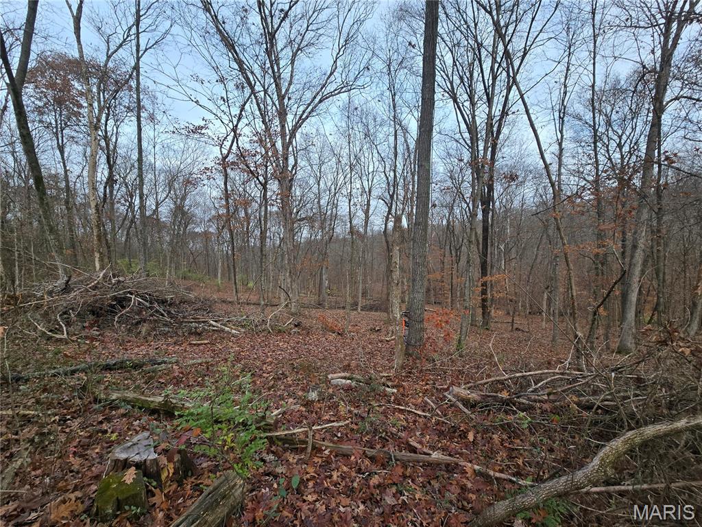 499 Sunset Echo Road Union, MO 63084 - Photo 2 of 21