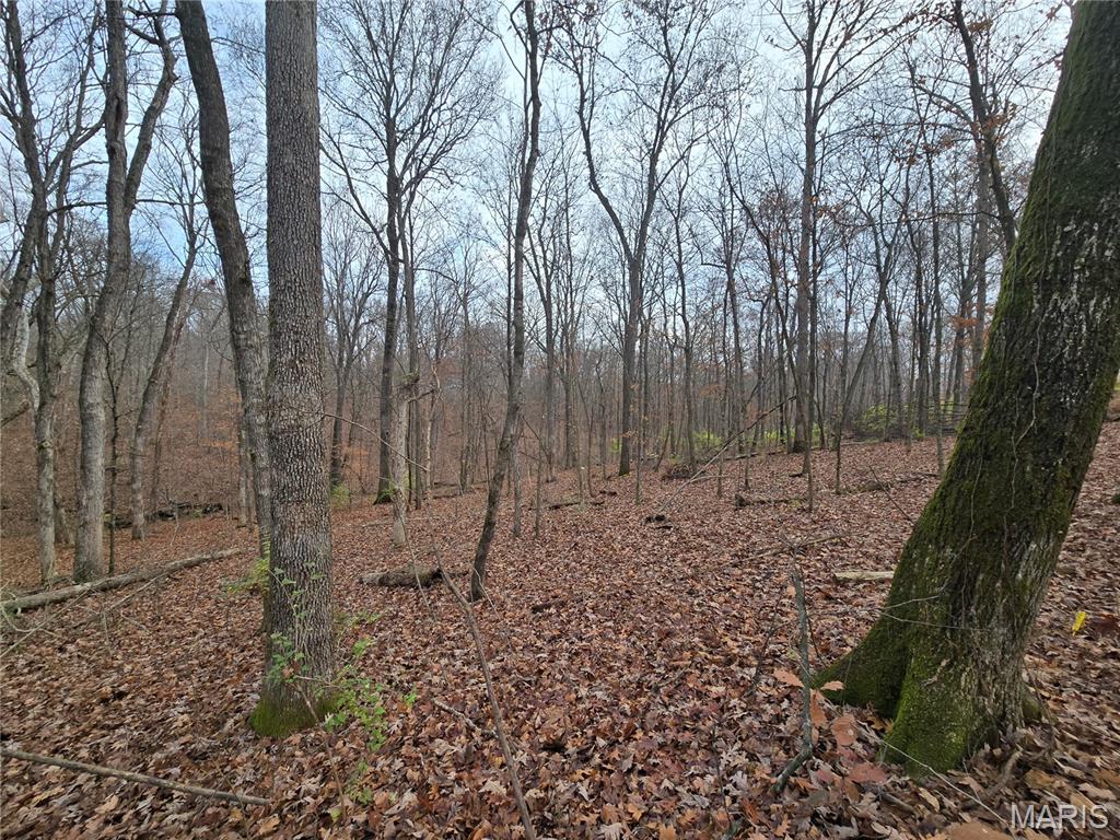 499 Sunset Echo Road Union, MO 63084 - Photo 4 of 21