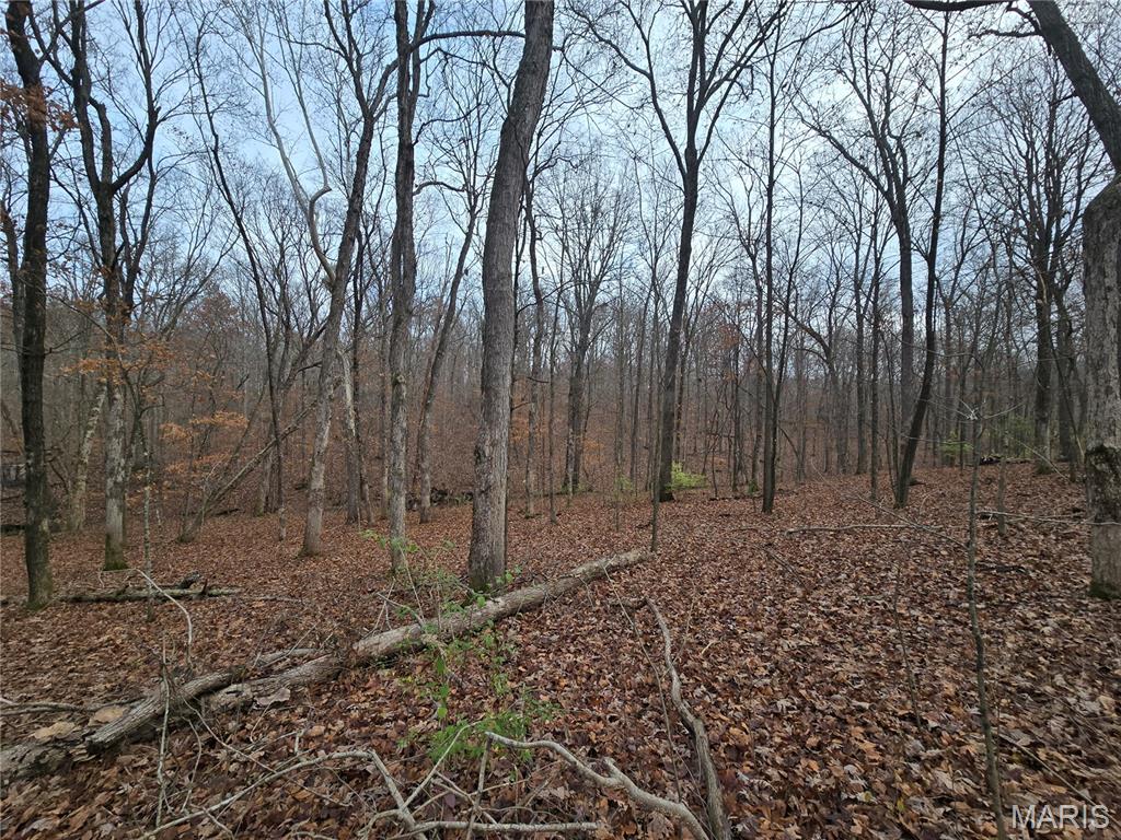 499 Sunset Echo Road Union, MO 63084 - Photo 5 of 21