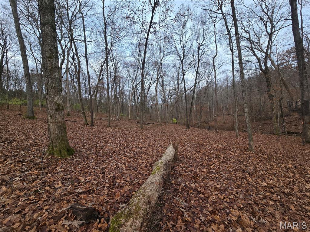 499 Sunset Echo Road Union, MO 63084 - Photo 6 of 21