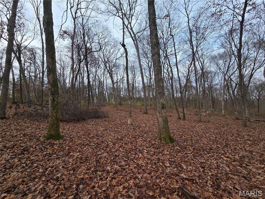 499 Sunset Echo Road Union, MO 63084 - Photo 7 of 21