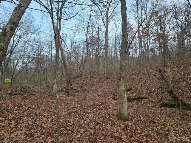 $130,000 | 499 Sunset Echo Road, Union, MO 63084