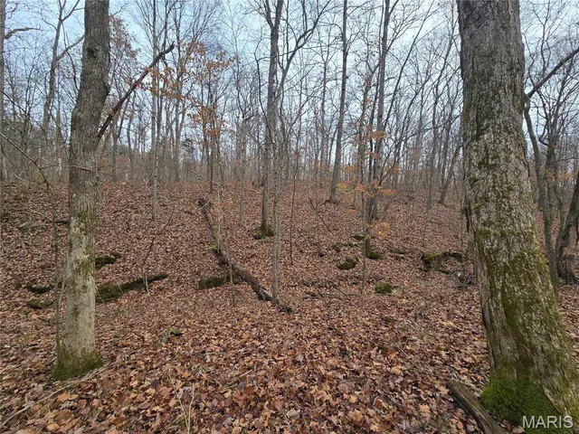 $130,000 | 499 Sunset Echo Road, Union, MO 63084