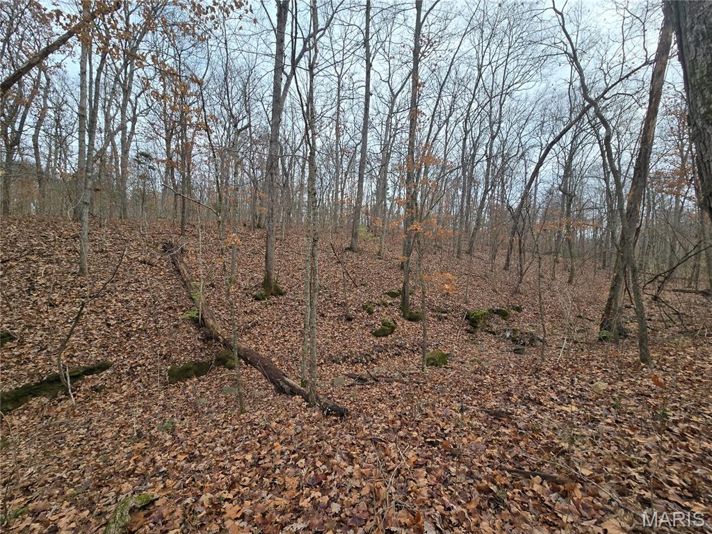 499 Sunset Echo Road Union, MO 63084 - Photo 10 of 21