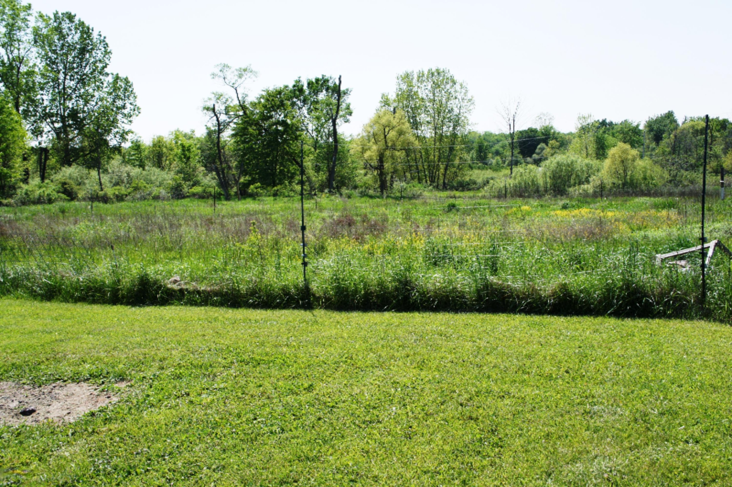 674 North Briggs Road Quincy, MI 49082 - Photo 7 of 26 007