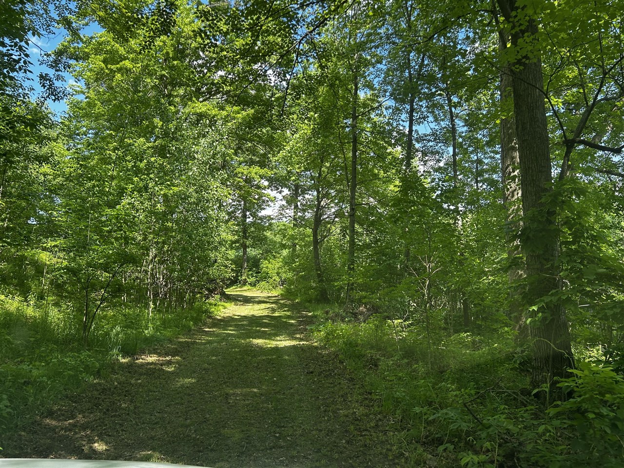 6670 Tower Lake Road Northeast Belding, MI 48809 - Photo 6 of 52