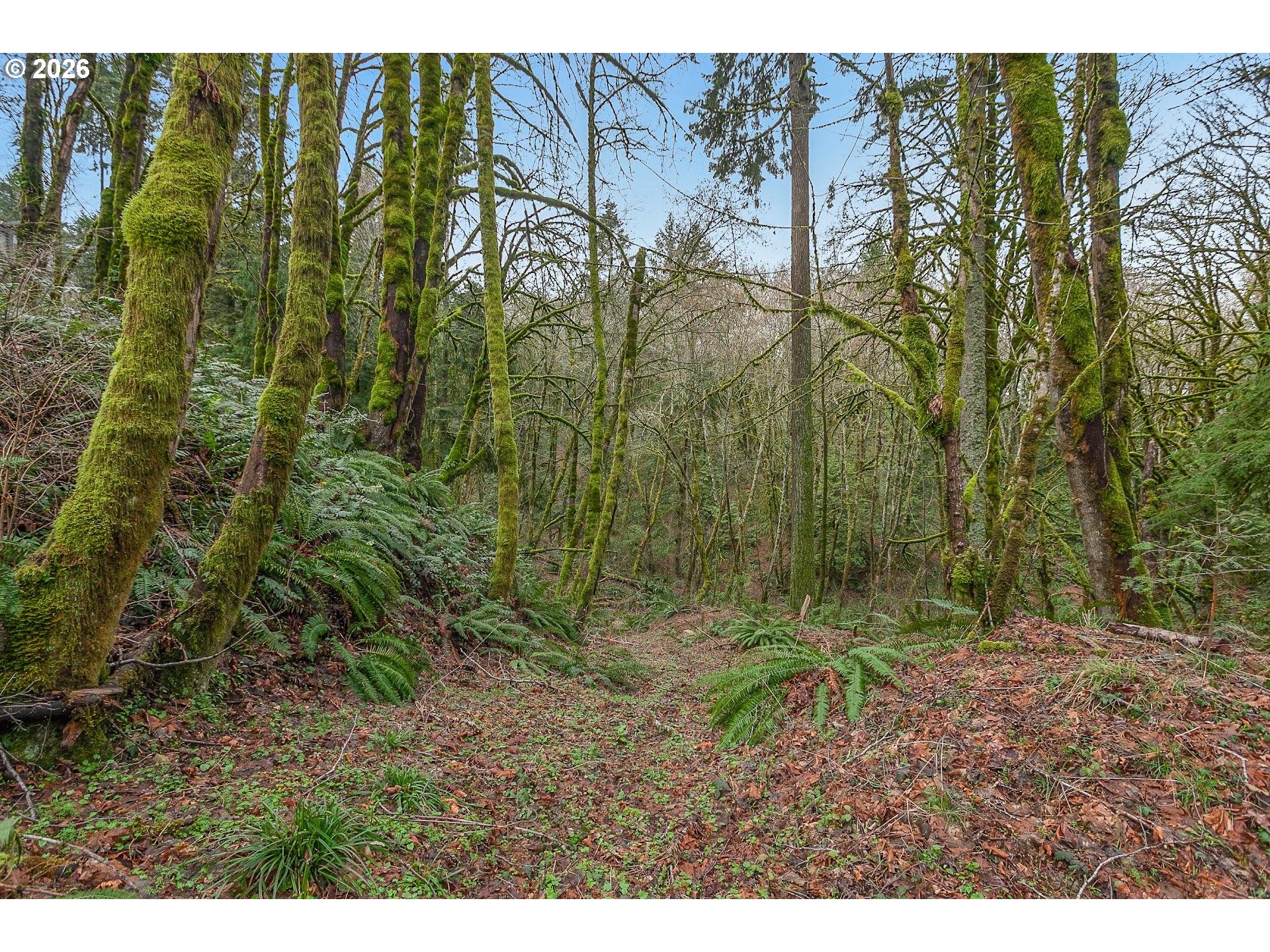 0 Northwest Summitview Drive Portland, OR 97229 - Photo 11 of 13