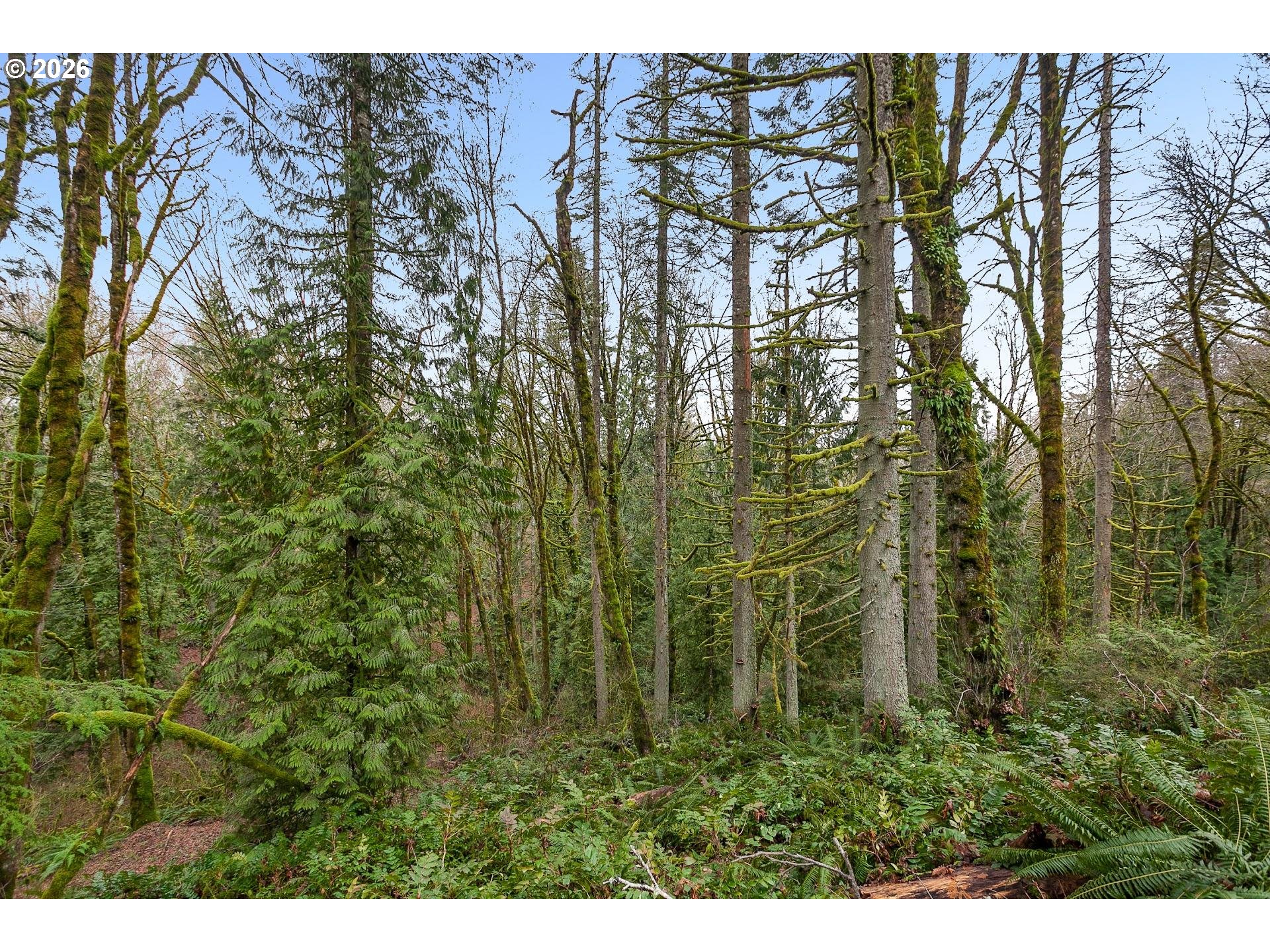 0 Northwest Summitview Drive Portland, OR 97229 - Photo 12 of 13