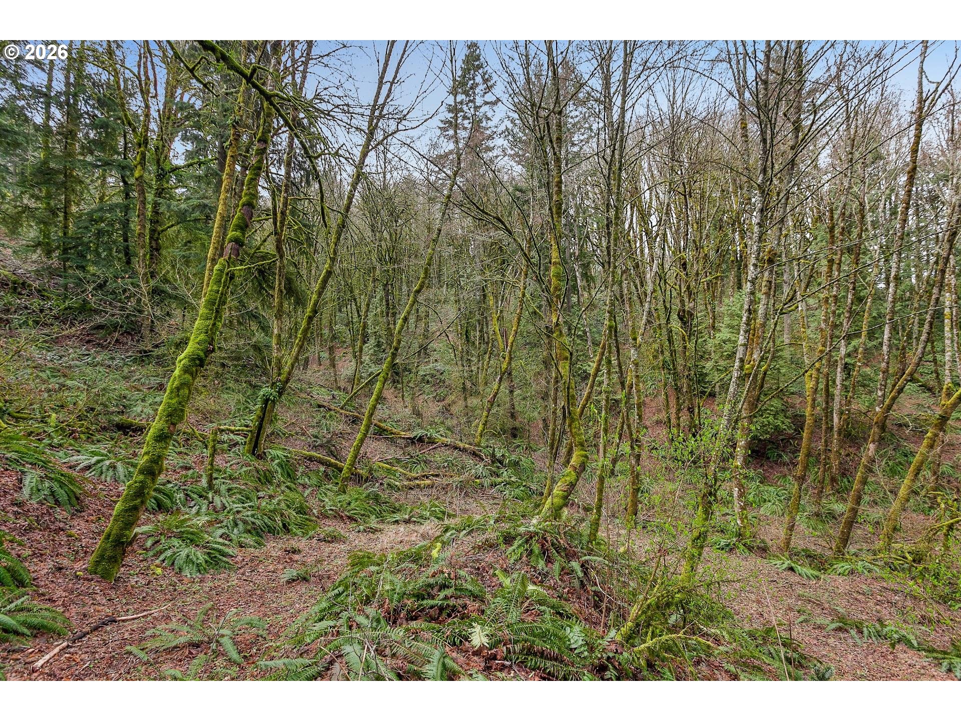 0 Northwest Summitview Drive Portland, OR 97229 - Photo 13 of 13