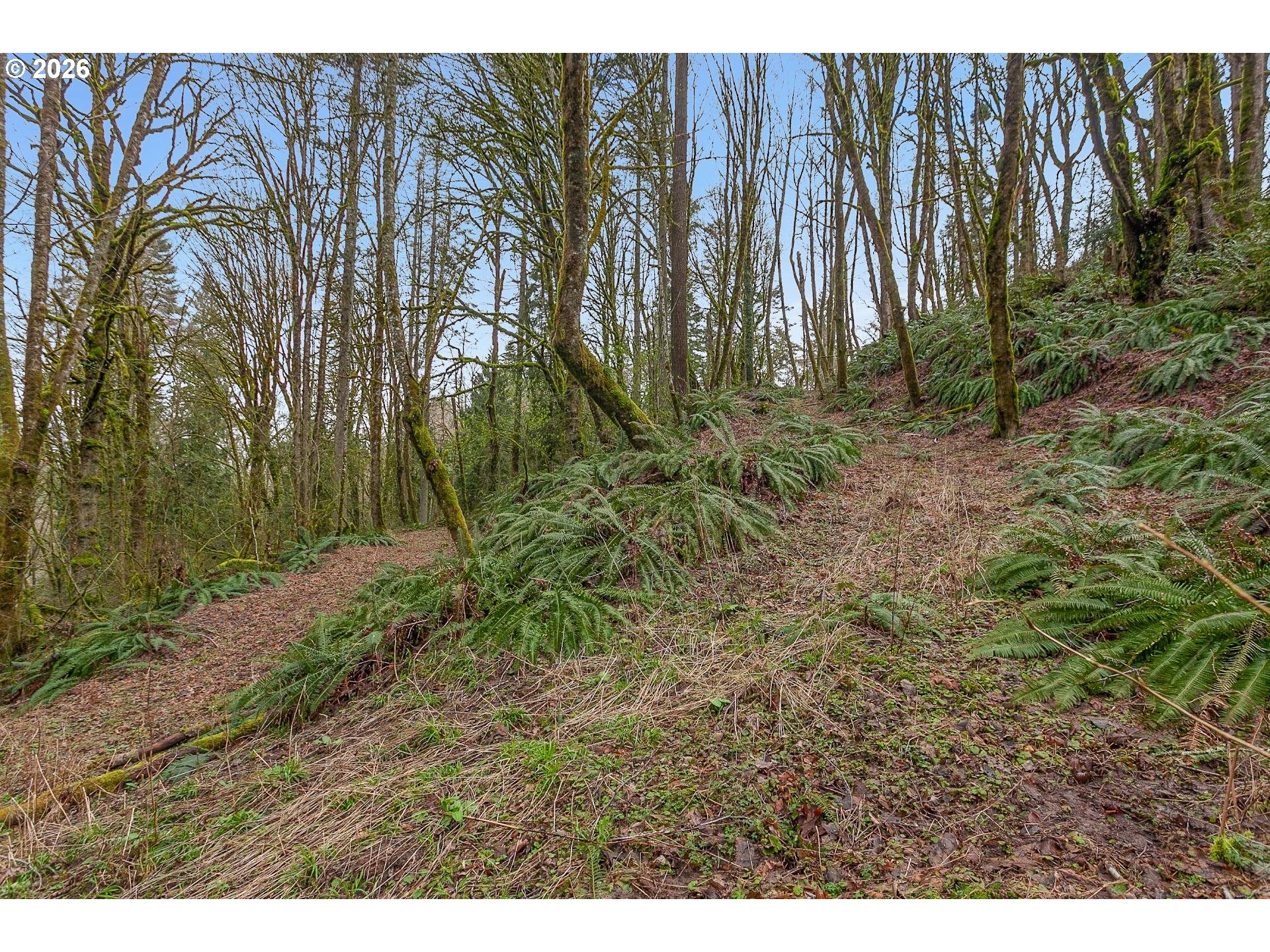 0 Northwest Summitview Drive Portland, OR 97229 - Photo 2 of 13