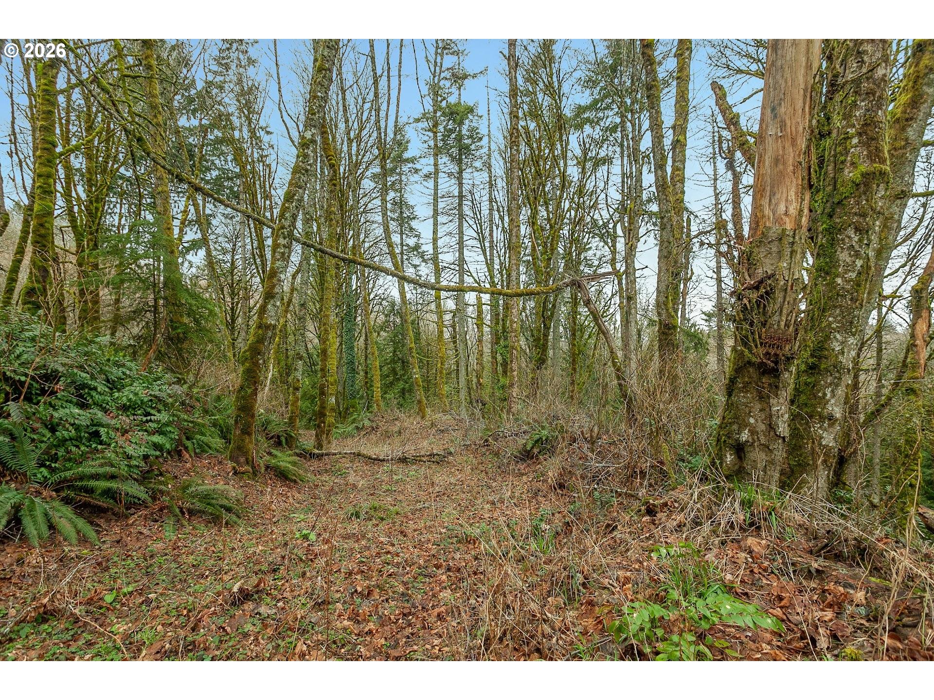 0 Northwest Summitview Drive Portland, OR 97229 - Photo 4 of 13