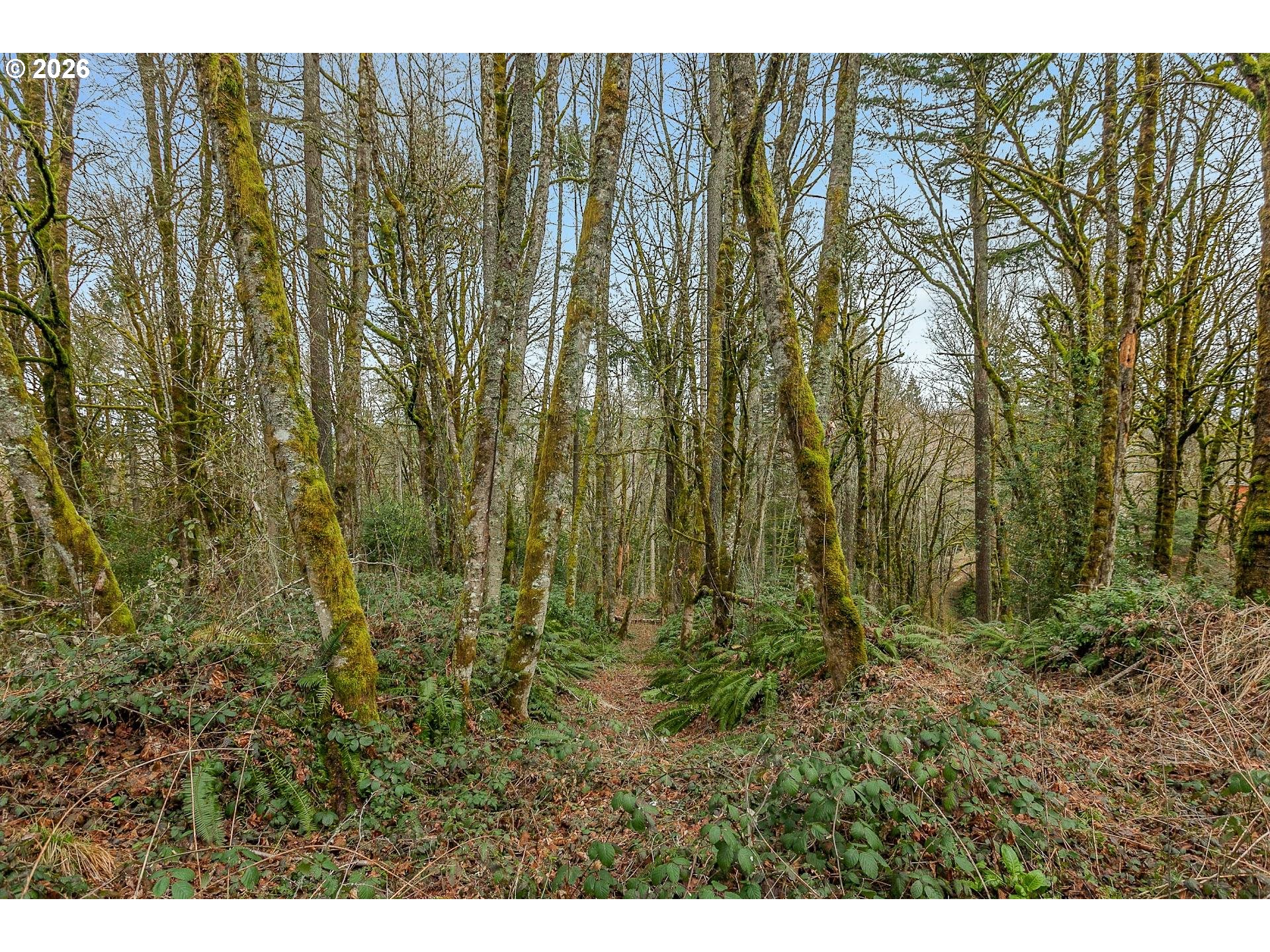 0 Northwest Summitview Drive Portland, OR 97229 - Photo 5 of 13