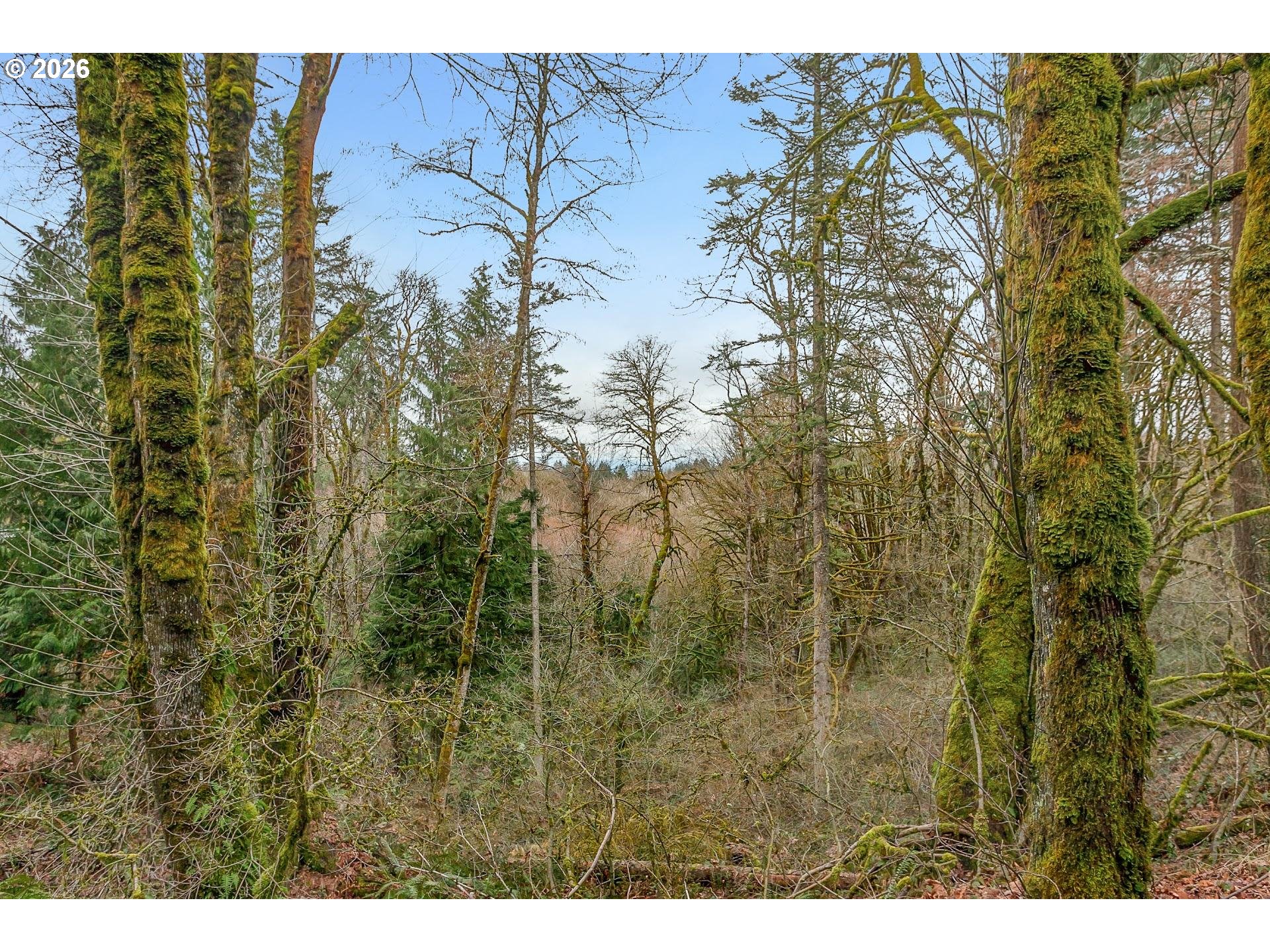 0 Northwest Summitview Drive Portland, OR 97229 - Photo 8 of 13