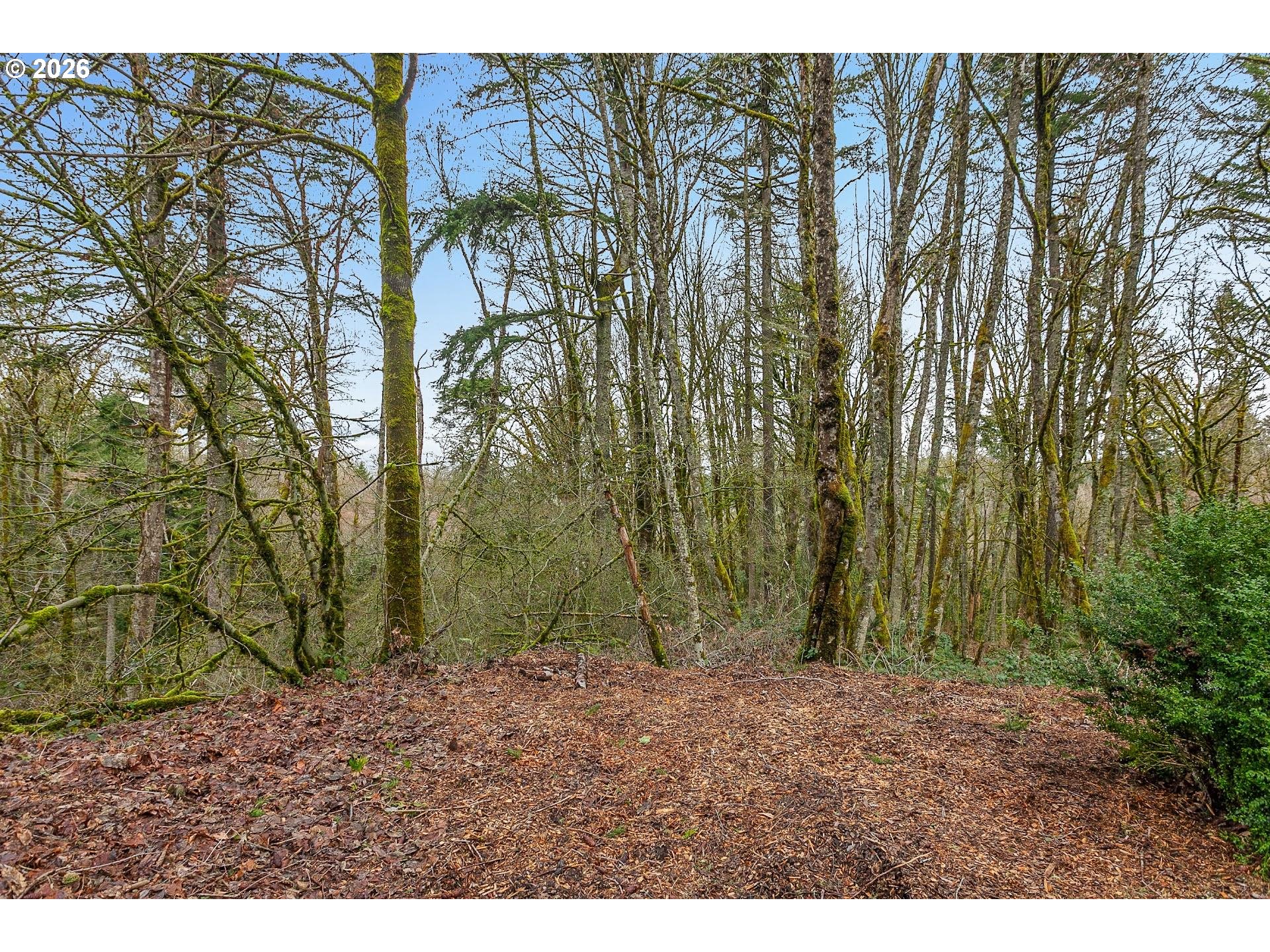 0 Northwest Summitview Drive Portland, OR 97229 - Photo 9 of 13